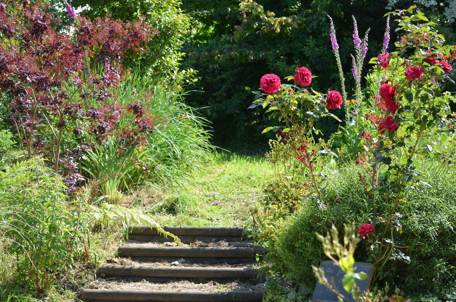 Photo n° 15 of the location