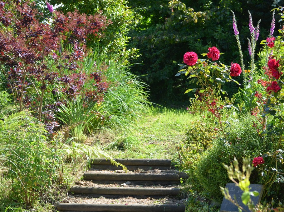 Photo n° 15 of the location