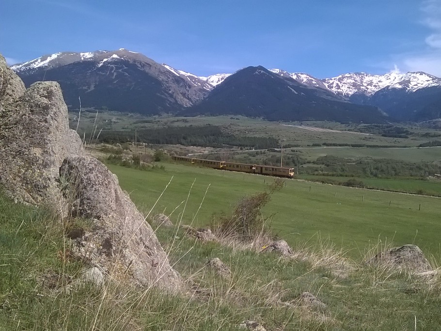 le petit train jaune