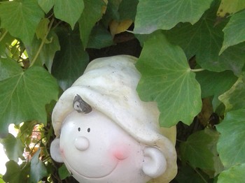 Photo n° 9 of the location