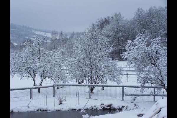 Jardin sous la neige - Gîte de Ban
