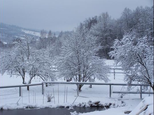 Jardin sous la neige - Gîte de Ban