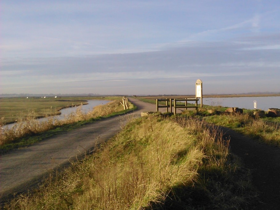 Photo n° 11 de la location