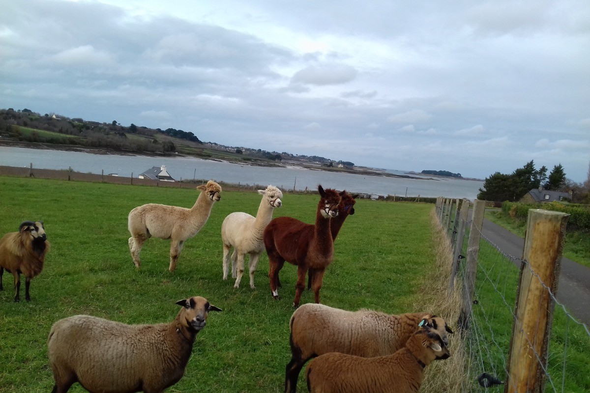 Photo n° 20 of the location