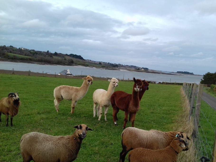 Photo n° 20 of the location