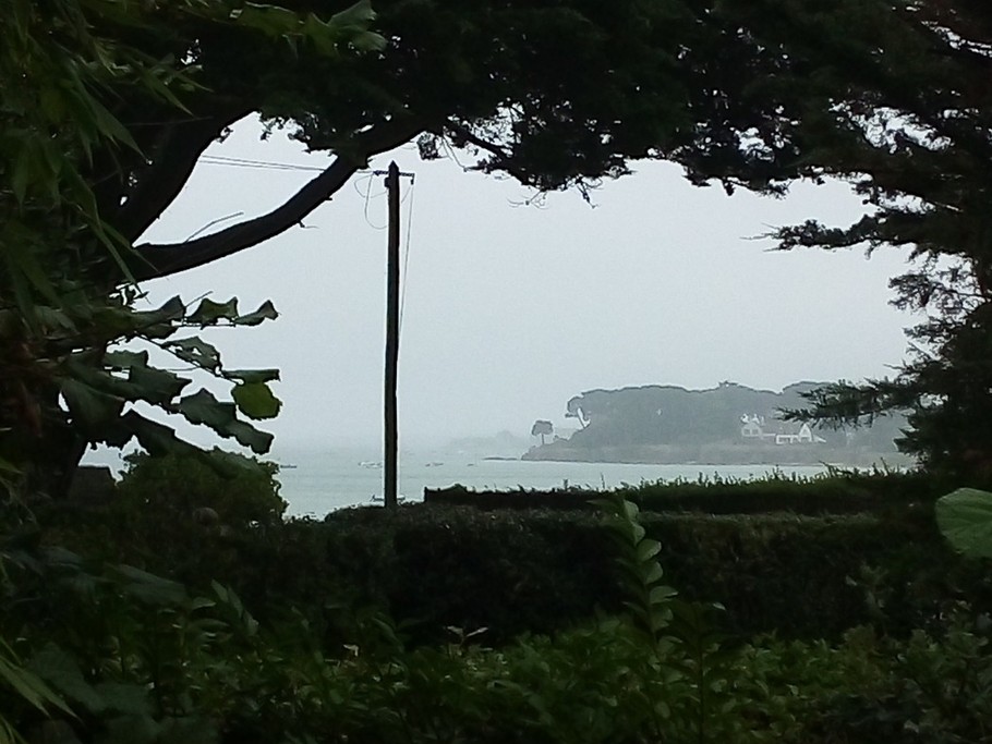 Vue du fond du jardin