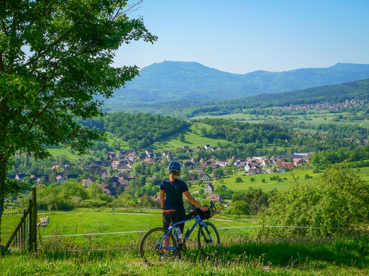 Crédit photo : Laurène Philippot