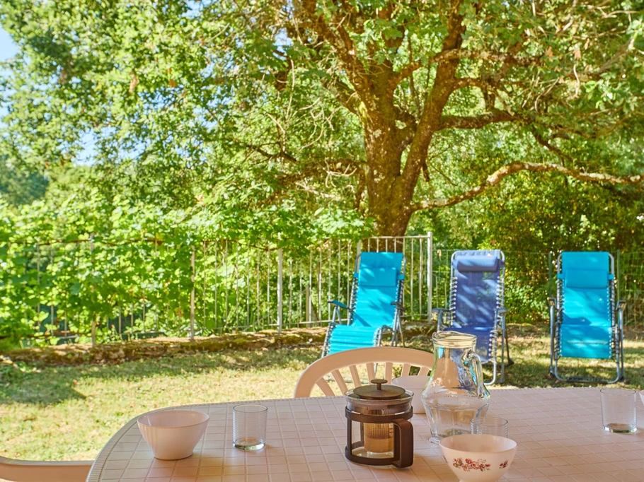 In front of the terrace, in the shade of an oak tree