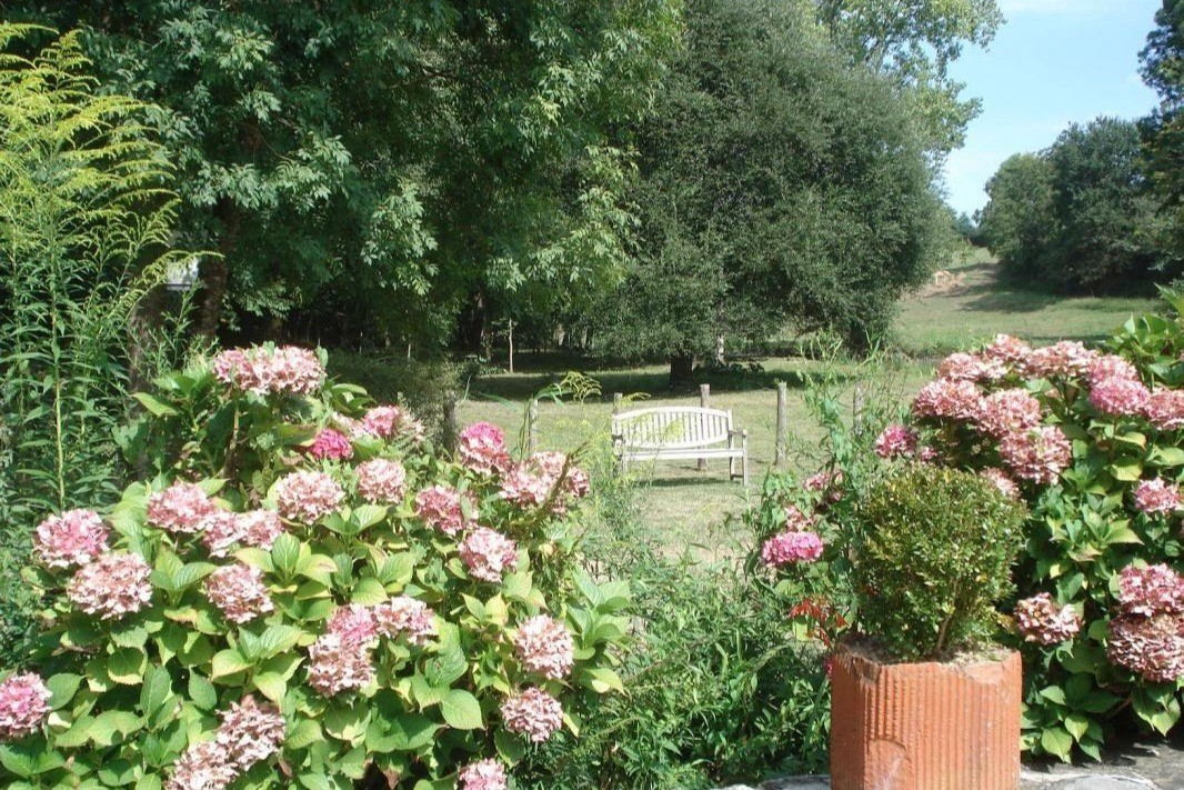 Parc vu