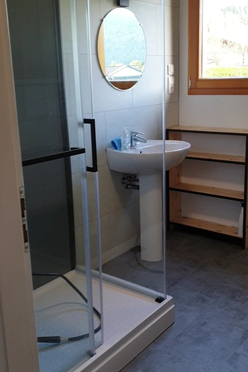 Shower room with washbasin and WC