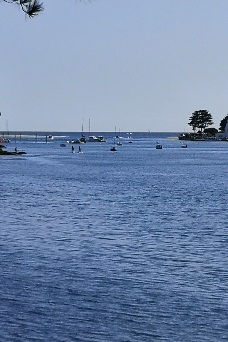 Photo n° 16 de la location