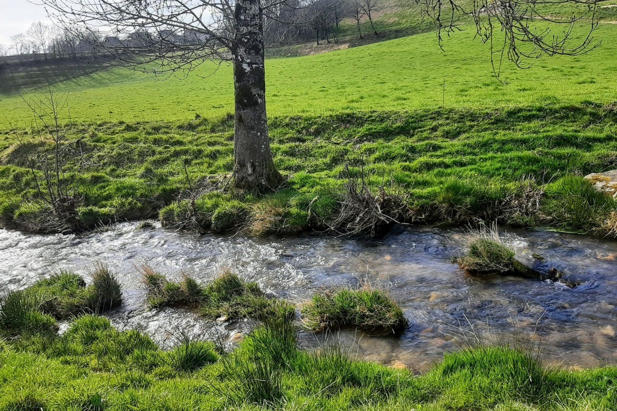 RUISSEAU d'Auze à proximité pêche possible