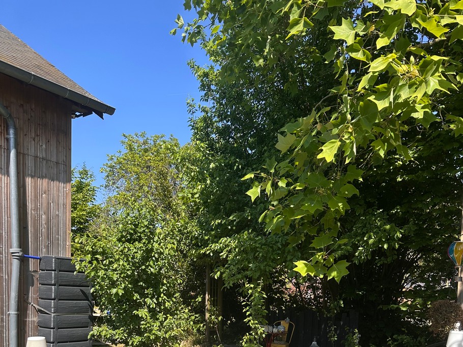 Chemin et Jardin menant au Terminusbus - Crèvecoeur le Grand - Oise - Hauts de France
