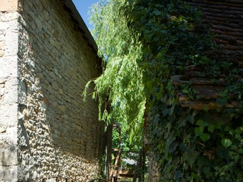Photo n° 7 de la location