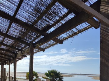 La Palmyre