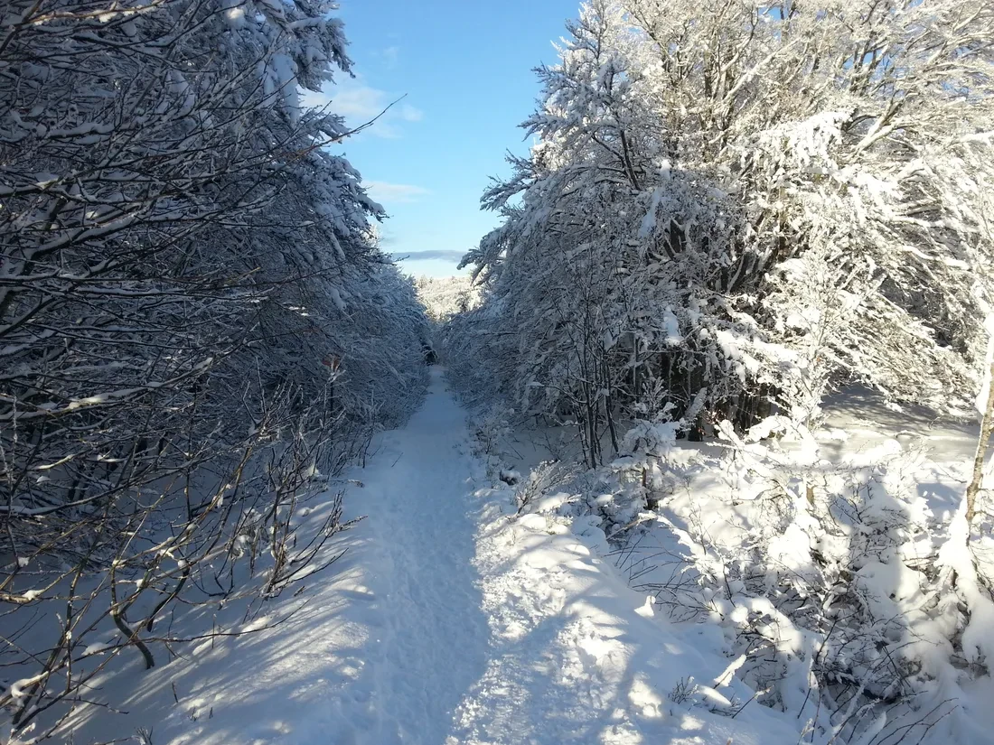 Photo n° 18 de la location
