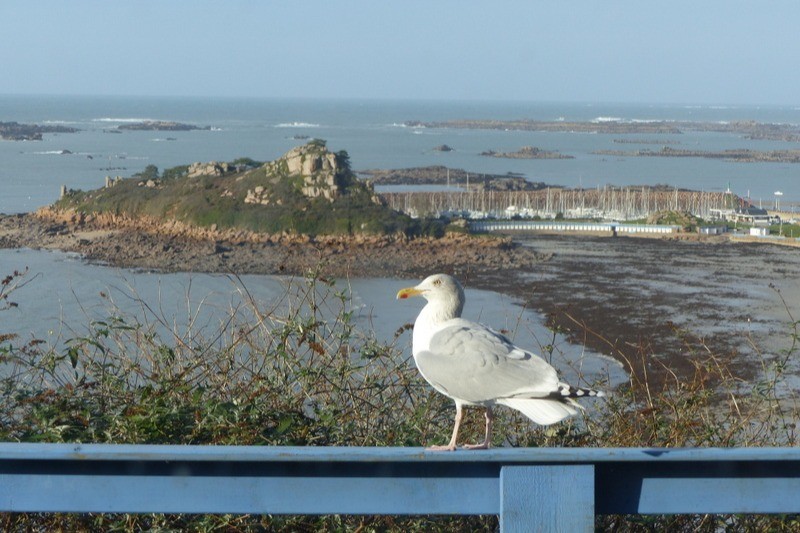 vue mer