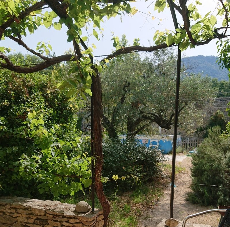 Domaine du Chêne Vert - Gîte La Ruche - Terrasse