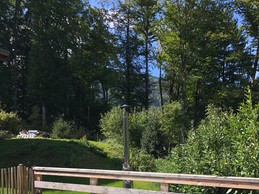 Image n° 2 de la location