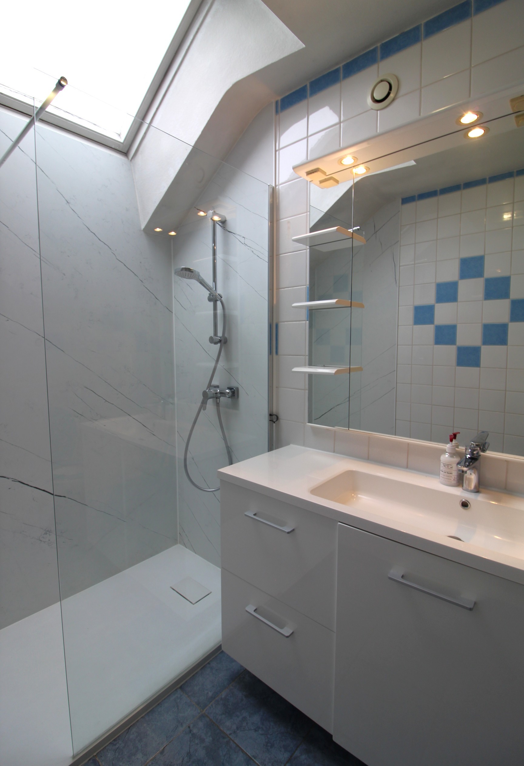 Salle d'eau avec wc - Gîte Pattes et Compagnie