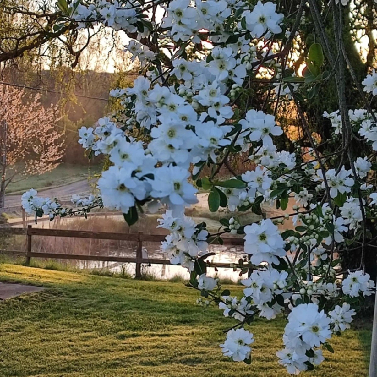 Photo n° 16 of the location