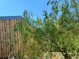 Image n° 4 de la location