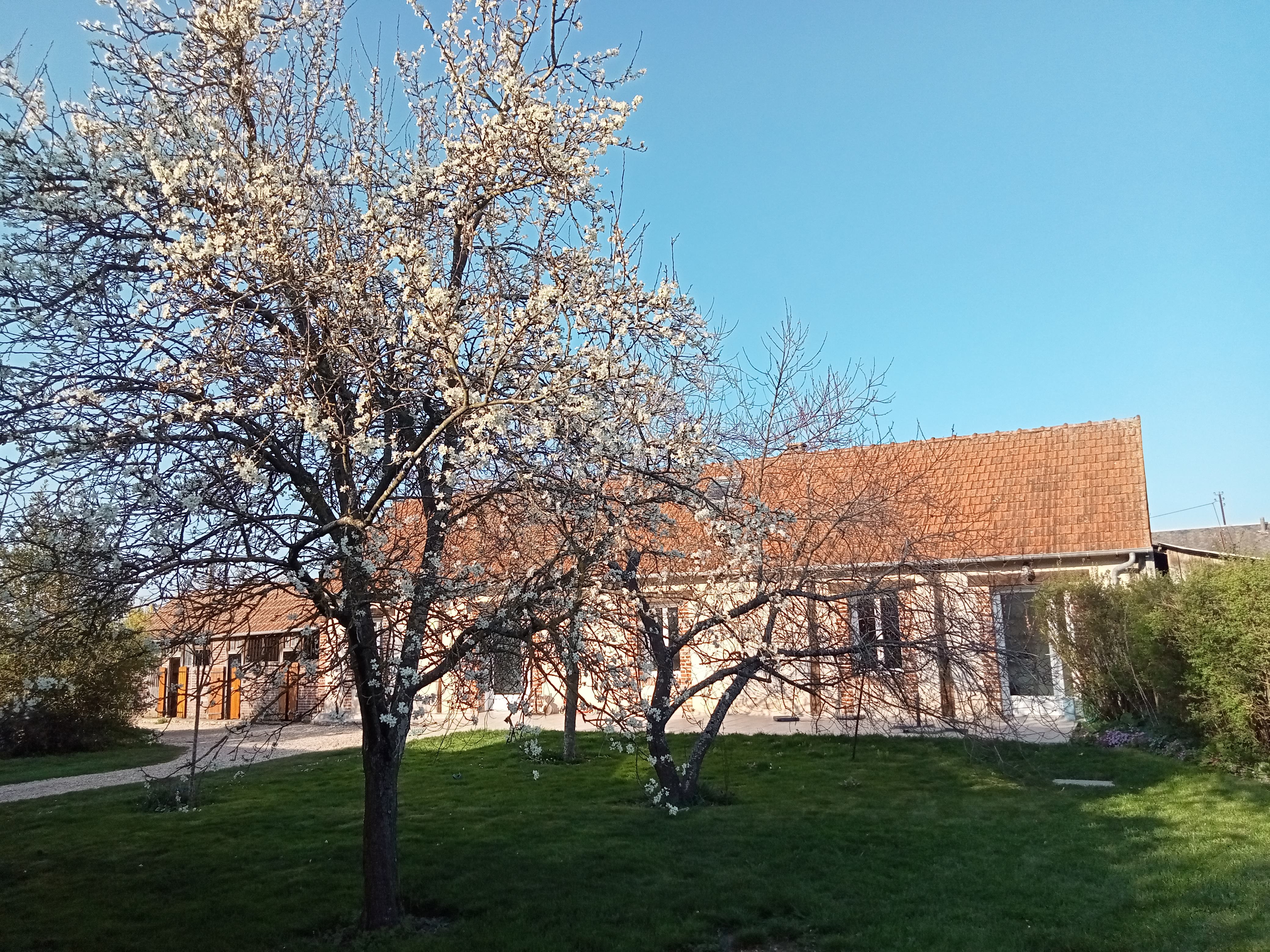 Photo n° 14 of the location