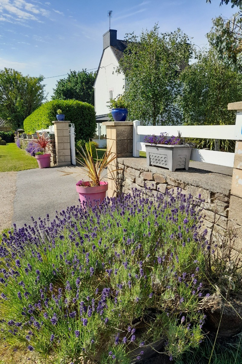 Entrée propriété