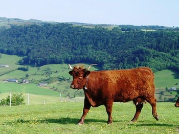 Photo n° 11 of the location