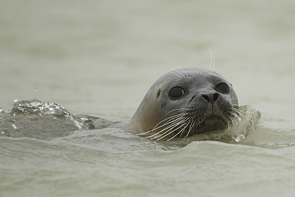 Photo n° 13 de la location