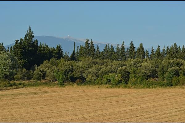 Vue sur le Mont Ventoux