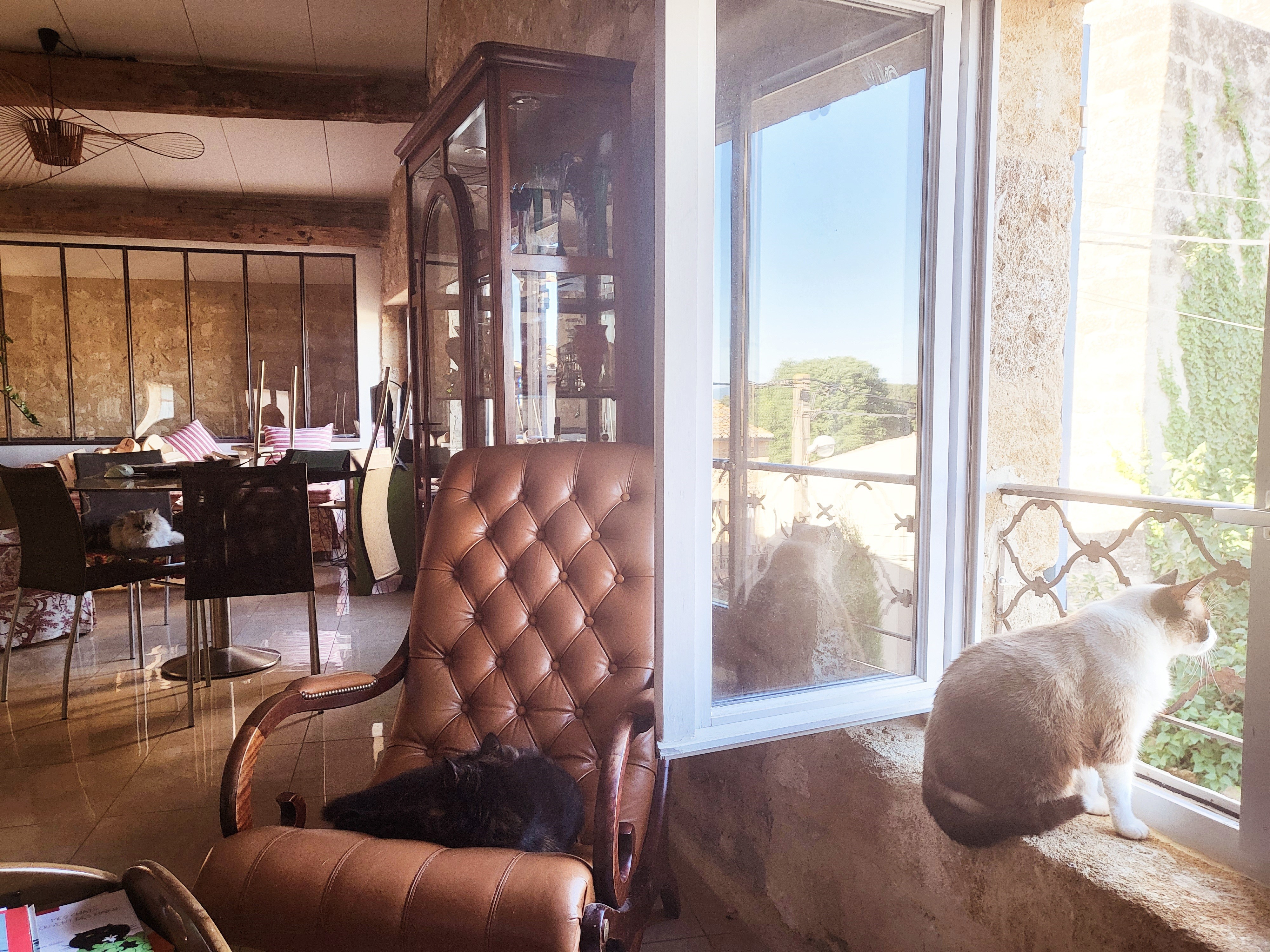 Photo n° 20 de la location