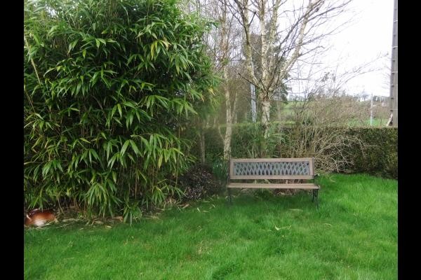Location - Maison de vacances - Plaintel