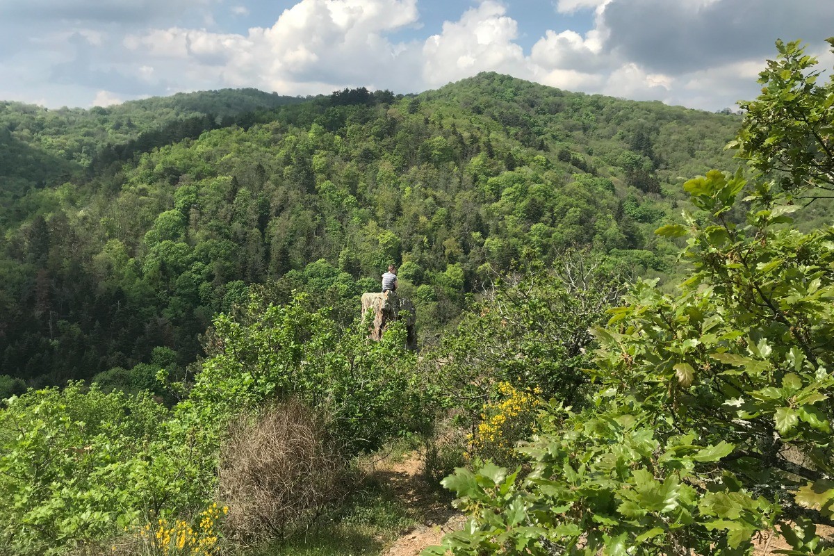 Le sentier du renard, au départ du gîte