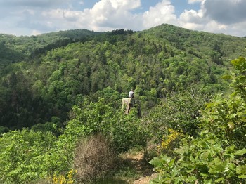 Le sentier du renard, au départ du gîte