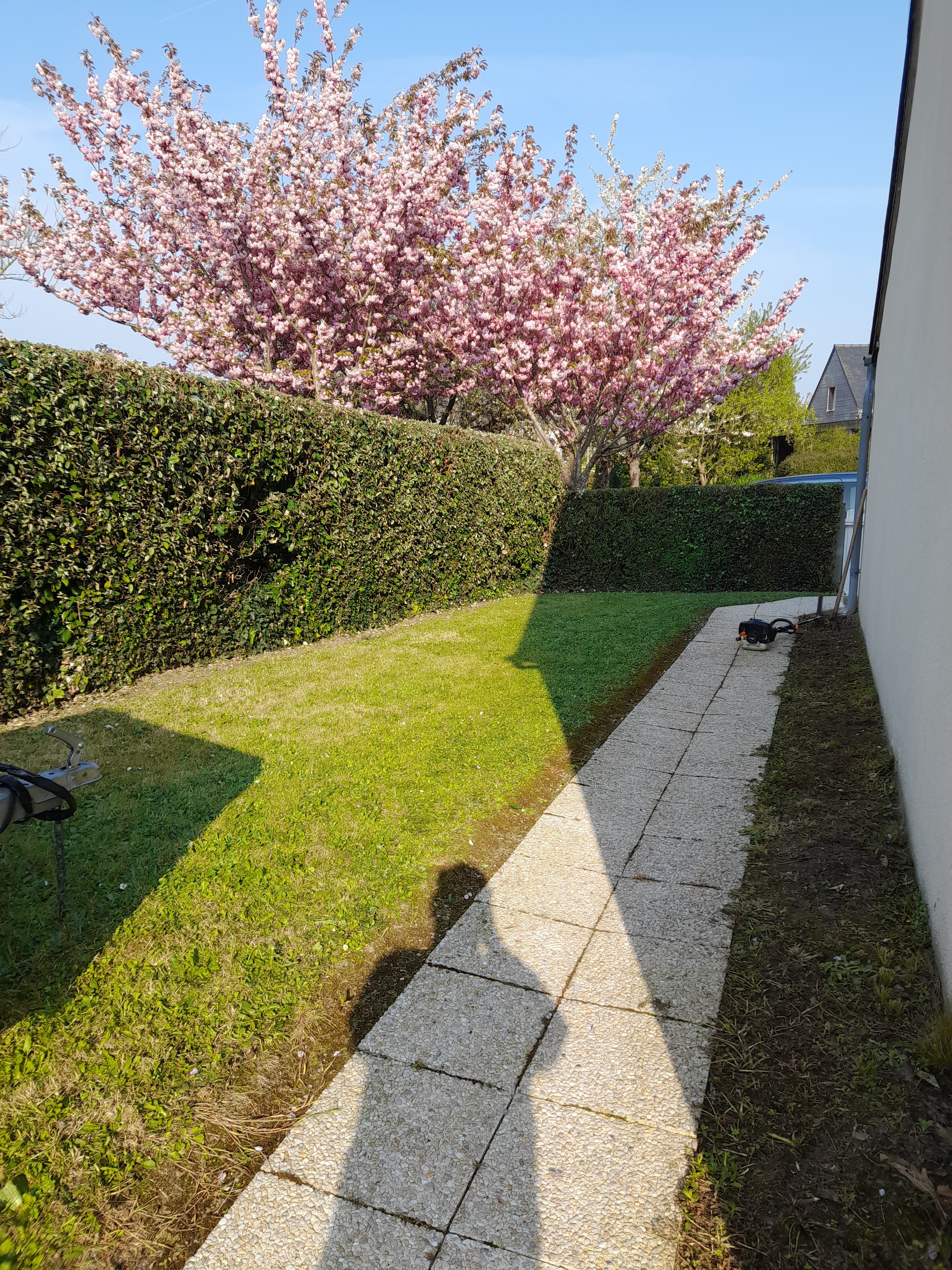 Photo n° 8 de la location