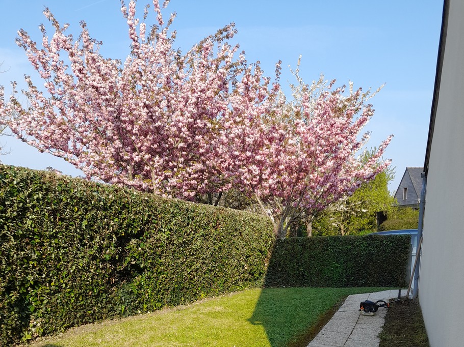 Photo n° 8 de la location