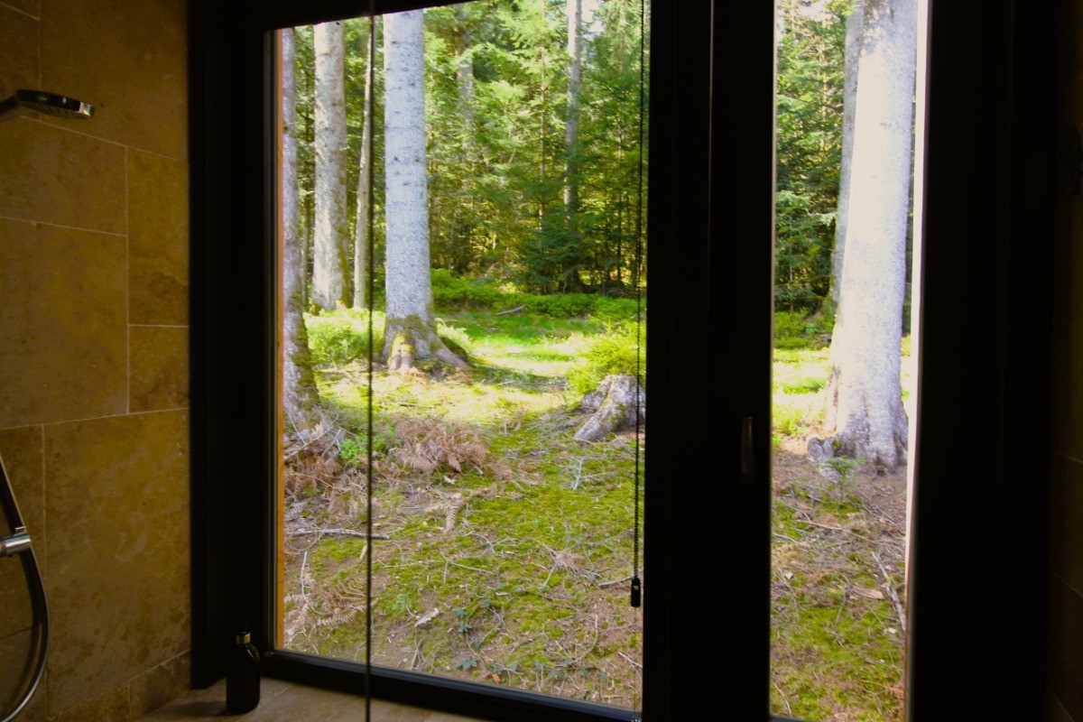 Vue sur la forêt depuis la douche  de l'Eco-Lodge Africain - Sainte-Barbe dans Les Vosges