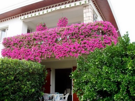 Photo n° 13 of the location