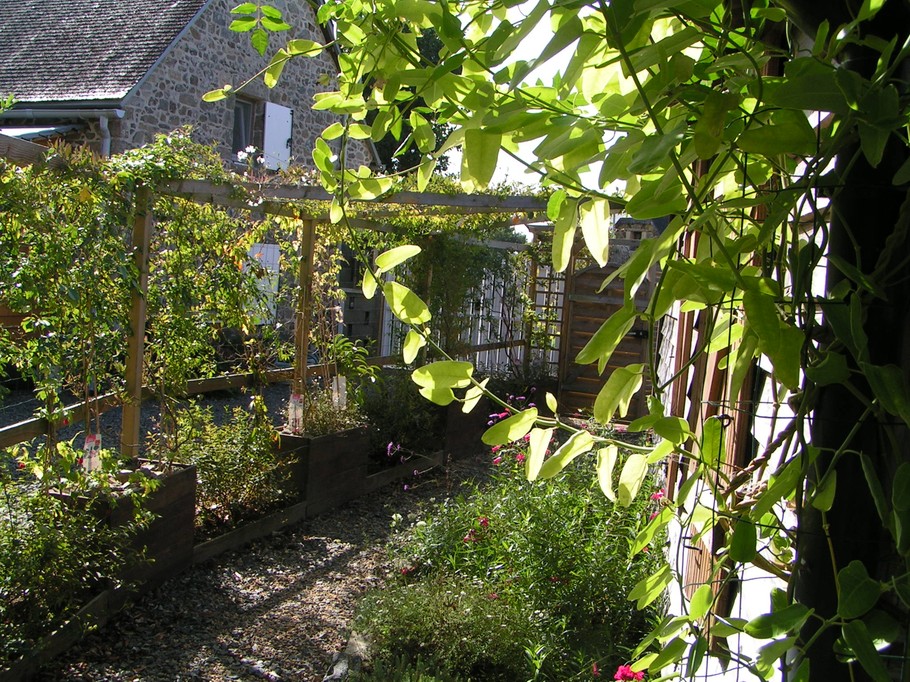 Chalet mimosa, un espace végétalisé