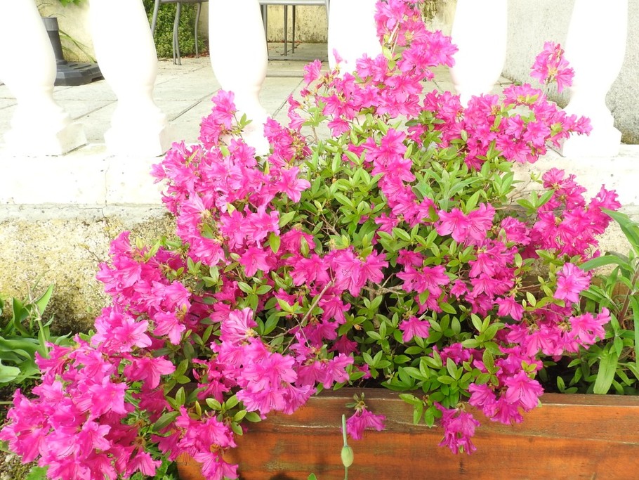 Photo n° 6 de la location