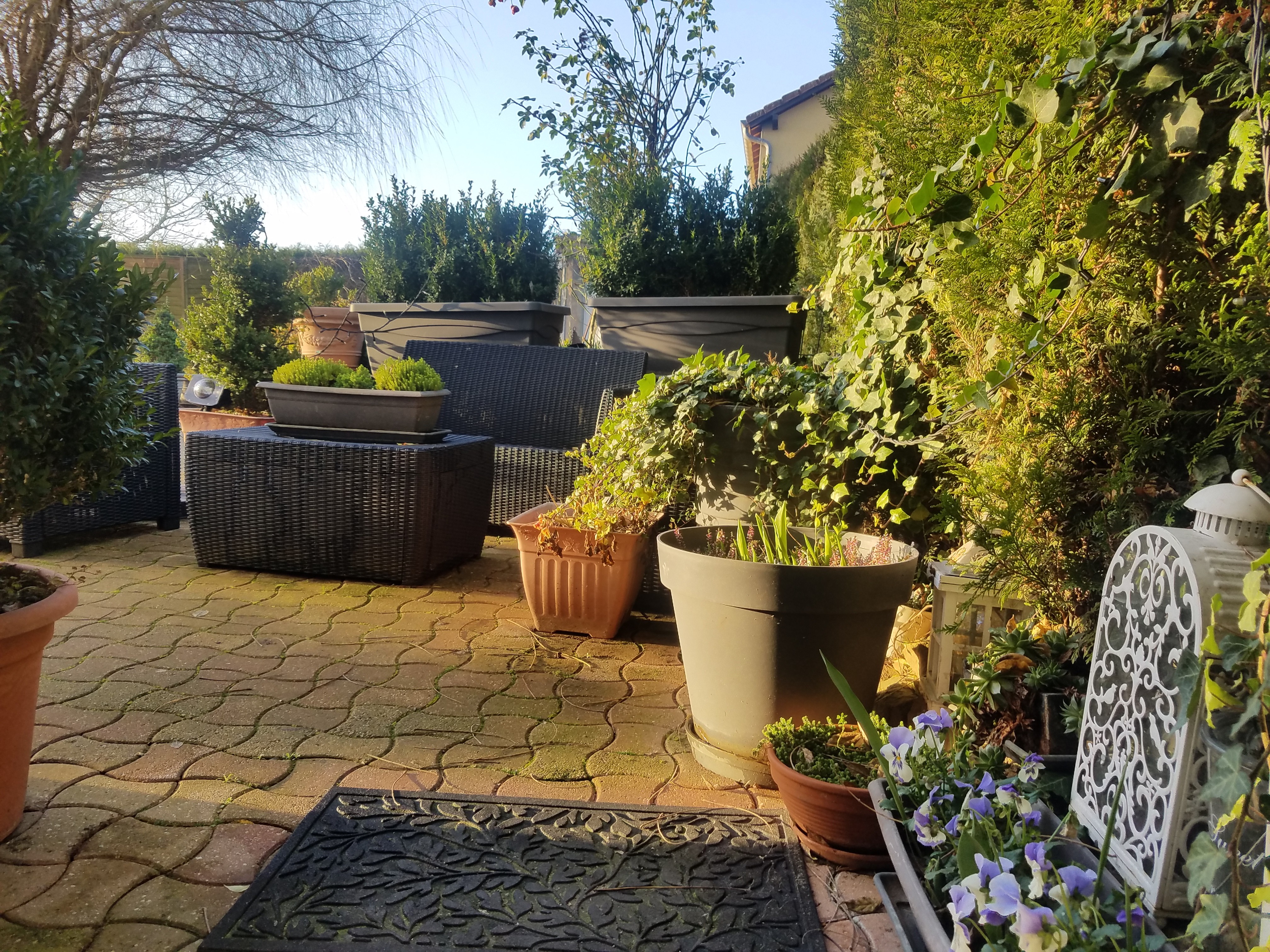 Photo n° 11 of the location