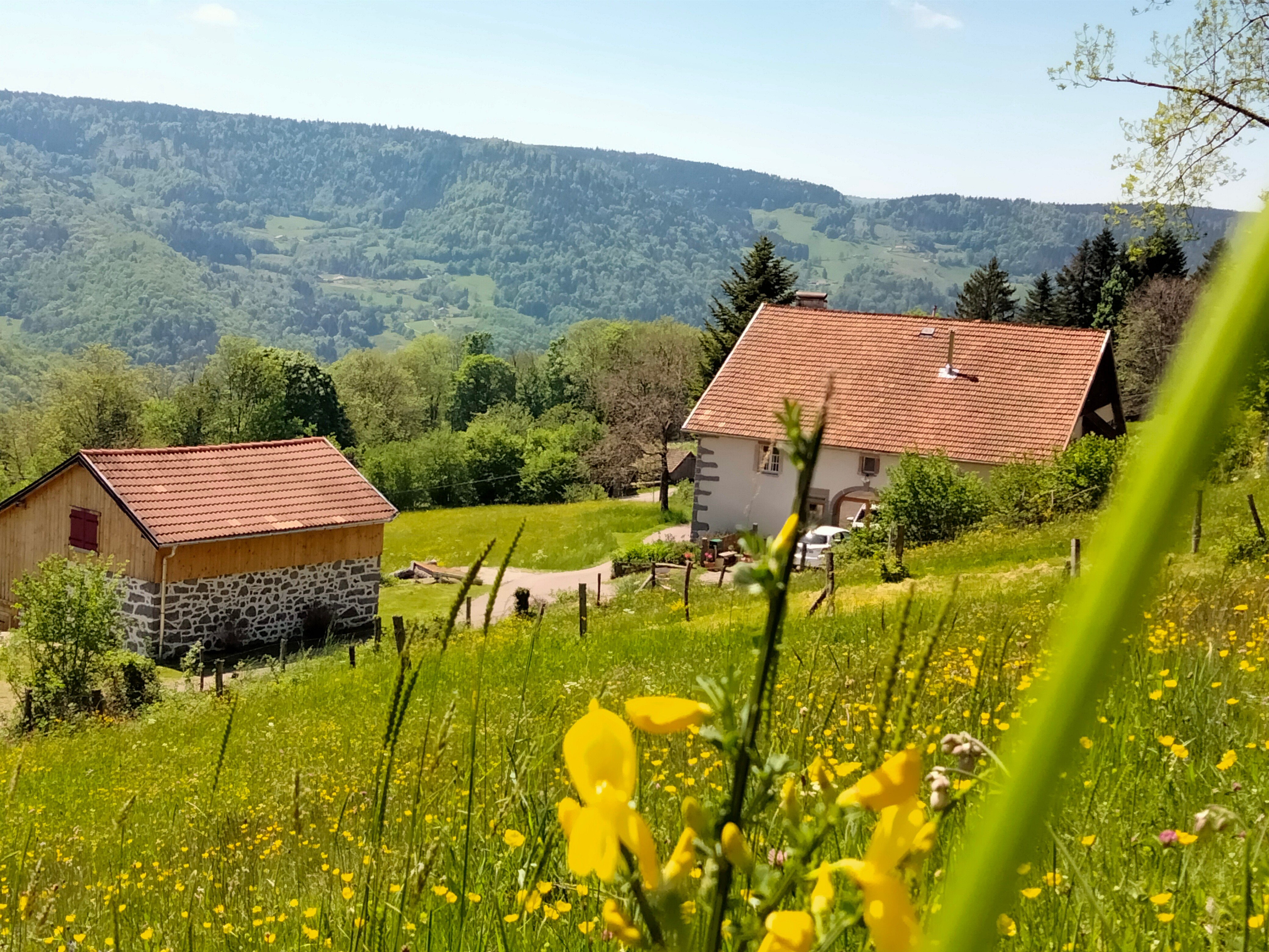 Réveil de la nature - Gîte "Le Grenier du Roc" ancienne ferme au cœur des Vosges à Basse-sur-le-Rupt