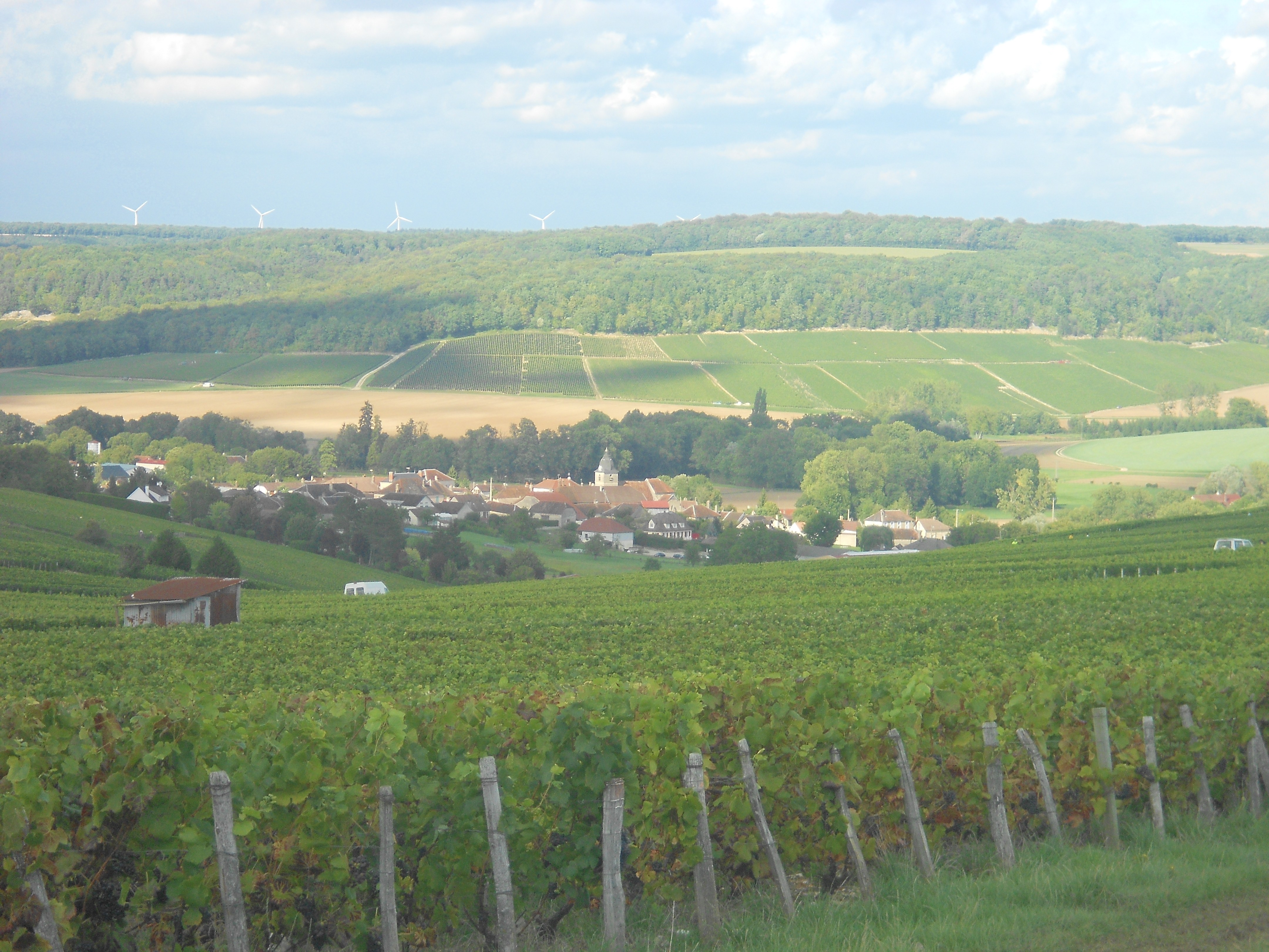 paysage de Meurville