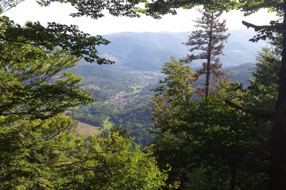 Photo n° 15 of the location