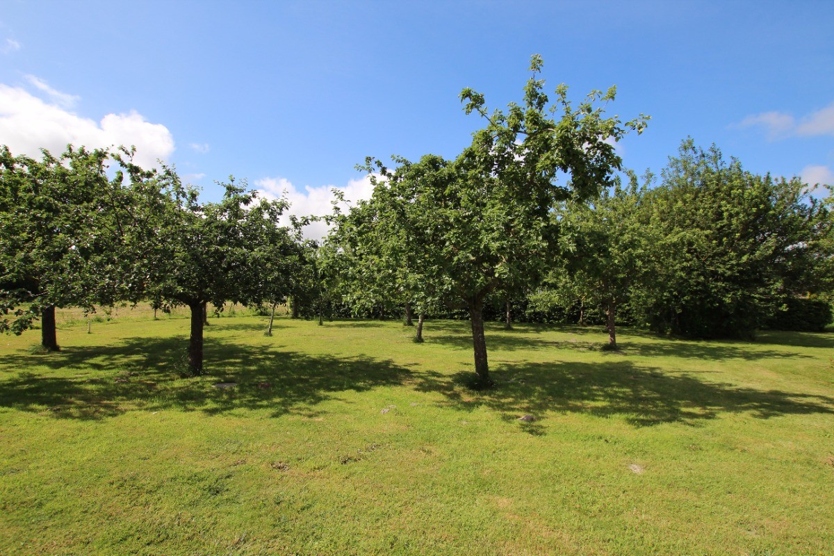 Photo n° 13 de la location