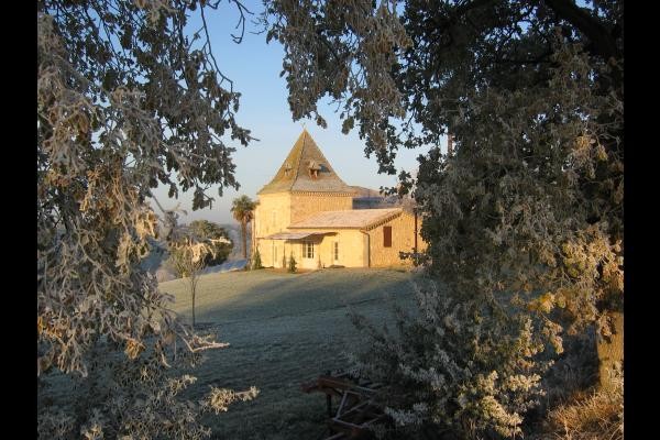 Givre matinal