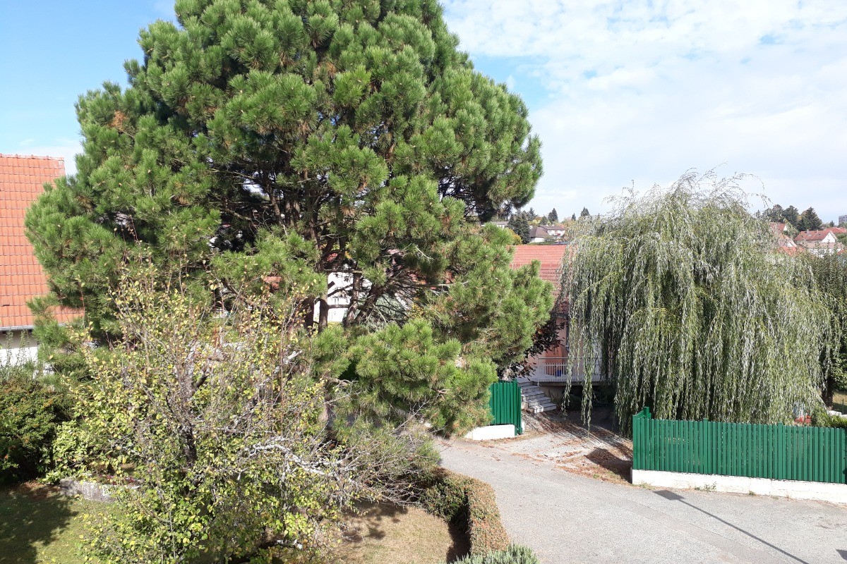 Jardin paysagé