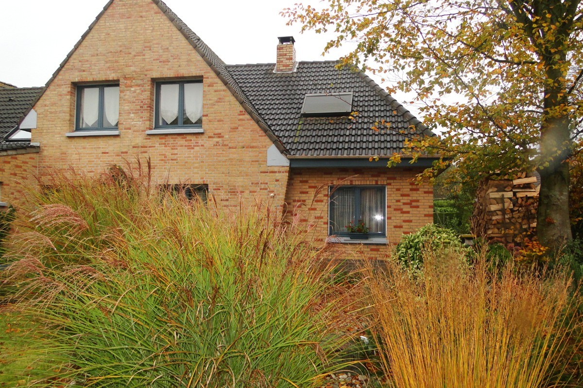 Photo n° 2 of the location