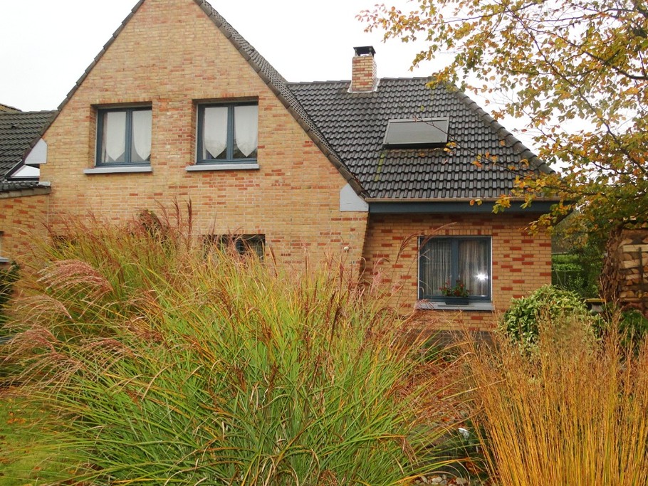 Photo n° 2 of the location